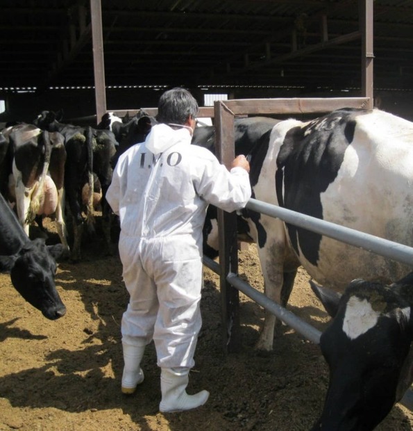 شیر خام در واحدهای تولیدی و مراکز جمع آوری سیرجان پایش می شود
