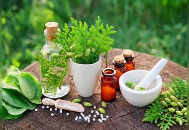 
این گیاهان دارویی با ویروس زگیل مقابله می کنند