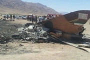 یک فروند هواپیمای نظامی در ساحل تنگستان سقوط کرد