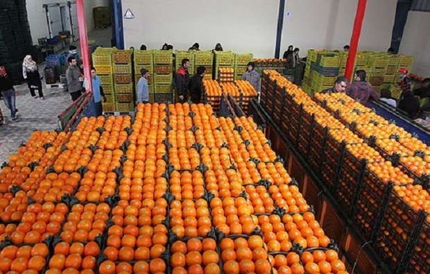 رئیس سازمان تعاون روستایی یزد:بیش از هزار تن میوه برای نوروز سال 97 در استان ذخیره می شود