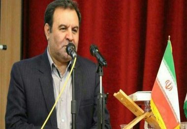 استاندار:خوشه سنگ قابلیت خوبی در لرستان دارد