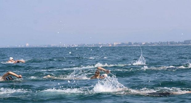 برترین‌های لیگ شنای آب‌های آزاد کشور معرفی شدند