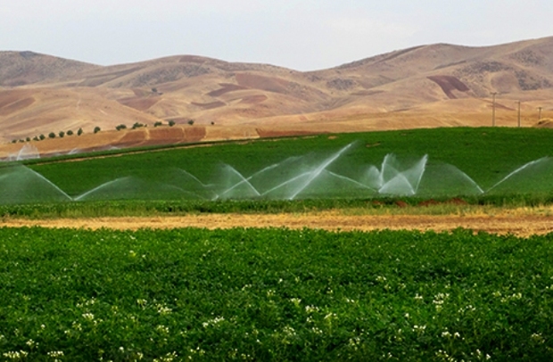 90درصد زمین های کشاورزی دشتی زیر پوشش آبیاری نوین است
