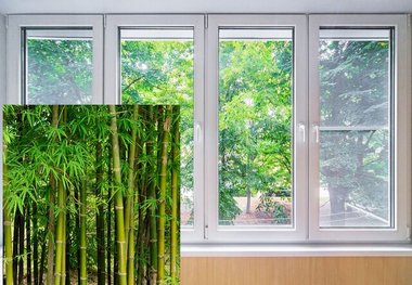 شیشه‌های آینده از بامبو ساخته می‌شوند!
