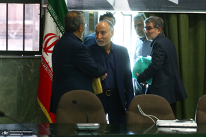 عکس نشست محمد علی انصاری