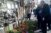 photo_2019-02-25_20-12-12