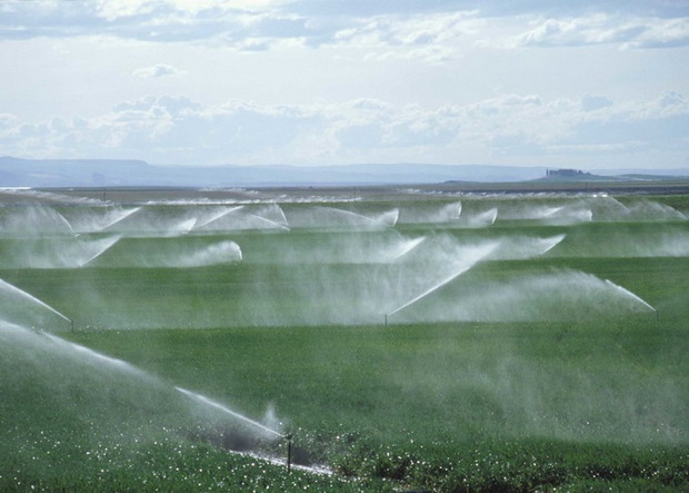 اجرای طرح سامانه آبیاری نوین در 417 هکتار از اراضی کشاورزی فیروزکوه