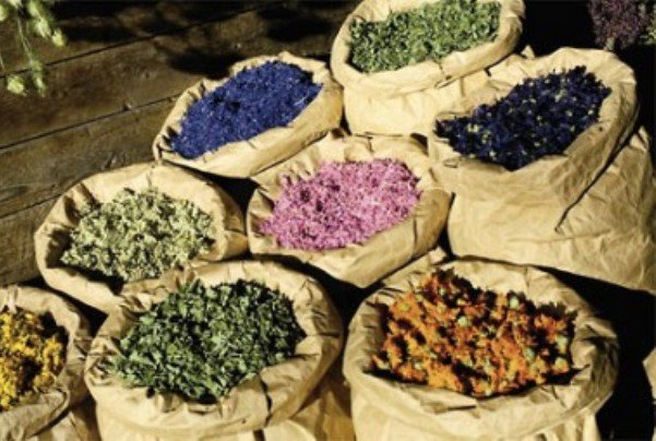 تولید گیاهان دارویی، ظرفیتی برای ایجاد ارزش افزوده در استان کردستان است