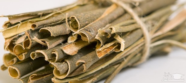 
 با این گیاهان تب را پایین بیاورید