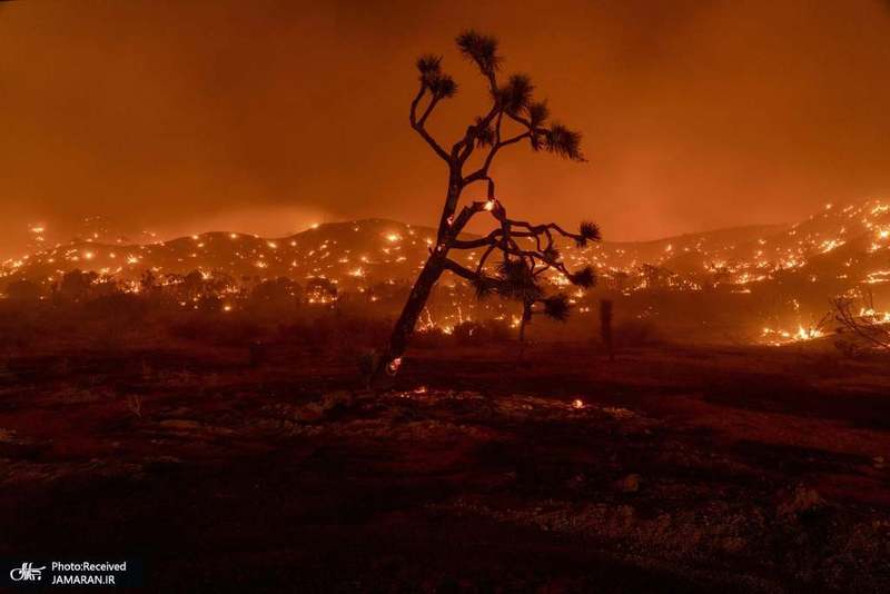 منتخب تصاویر امروز جهان- 31 شهریور