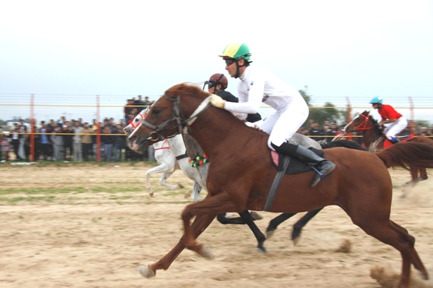 هفته سوم کورس اسب دوانی قهرمانی خوزستان در دزفول برگزار شد