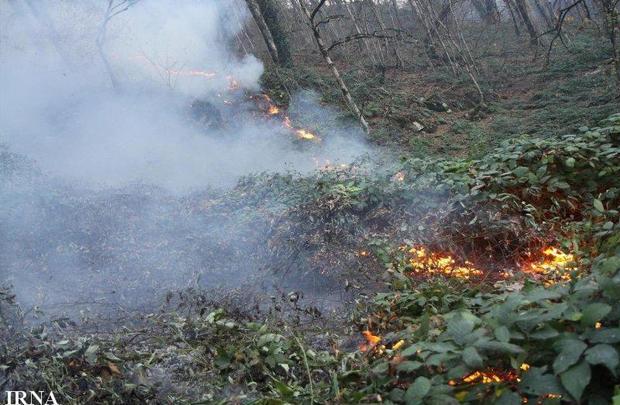 14 هکتار از عرصه های جنگلی دیلمان در آتش سوخت