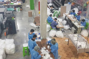 واحد تولید ماسک و دستکش در شهرک صنعتی بجنورد شروع به کار کرد