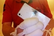 مشتری سونی برای انفجار تلفن همراهش شکایت کرد+عکس