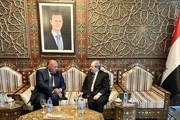 وزیر خارجه مصر در دمشق با بشار اسد دیدار کرد