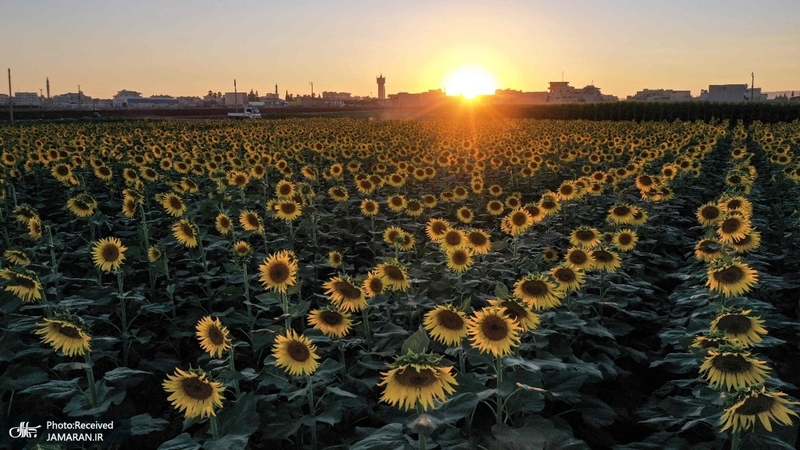 منتخب تصاویر امروز جهان - 23 شهریور 1401