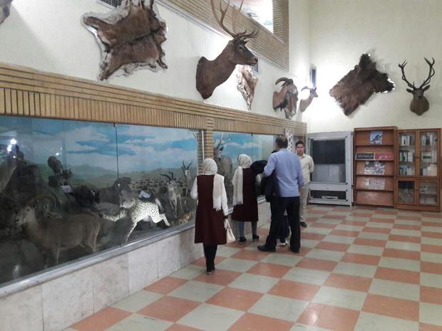 54 هزار نفر از موزه تاریخ طبیعی زنجان بازدید کردند