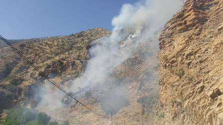 آتش سوزی جنگل ها و مراتع زردوئی شهرستان پاوه مهار شد