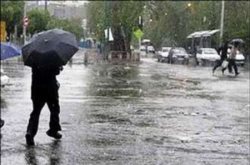 باران در البرز سیلاب به راه انداخت