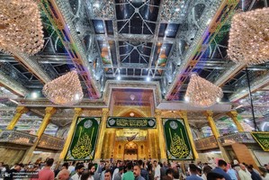 حال و هوای شب میلاد امام رضا (ع) در حرم مطهر امام حسین(ع)