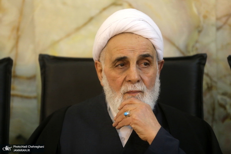 مراسم بزرگداشت آیت الله سید هاشم رسولی محلاتی(ره) در قم - ناطق نوری
