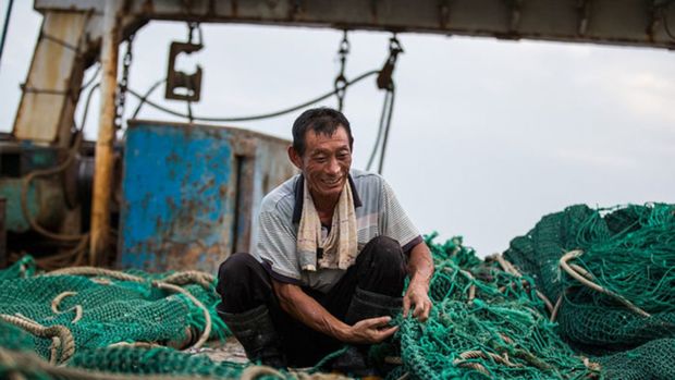 صید کشتی‌های چینی مرجان‌های دریای عمان را نابود می‌کند