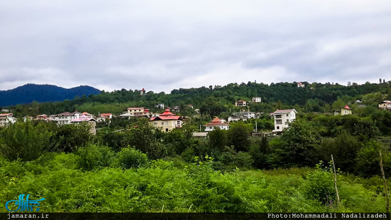 روستای سلیم آباد تنکابن؛ اینجا همه چیز سبز است