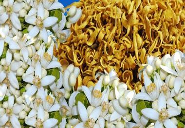  تپش قلب را با این نوشیدنی خانگی درمان کنید+طرز تهیه
