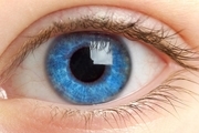 ماکولای چشمی چیست؟