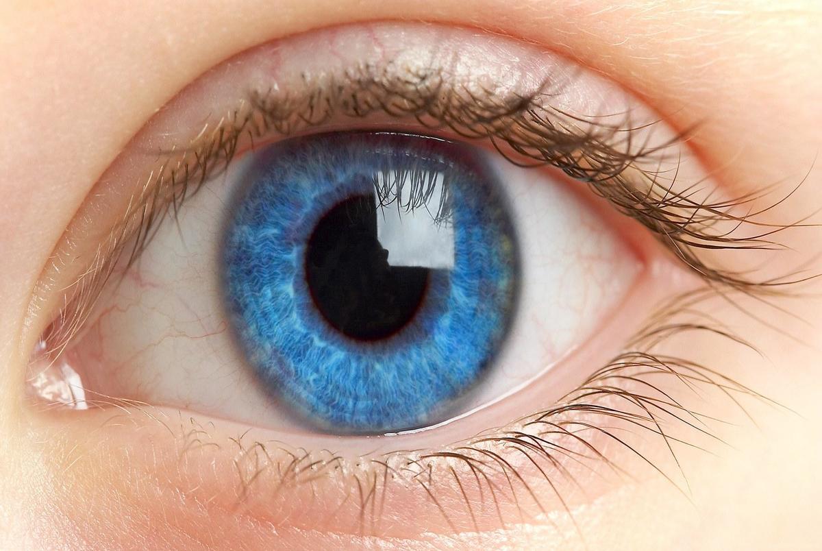 ماکولای چشمی چیست؟