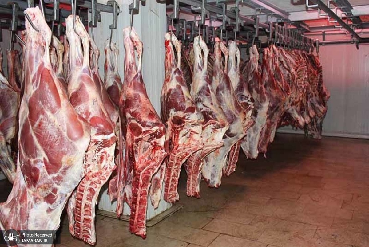 فروش گوشت ارزان تر از بازار آغاز شد