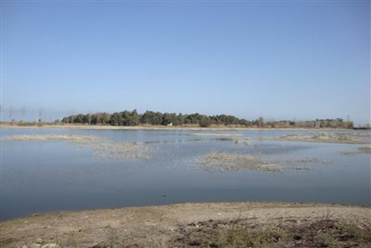 «تالاب لپو» در مازندران خشک شد