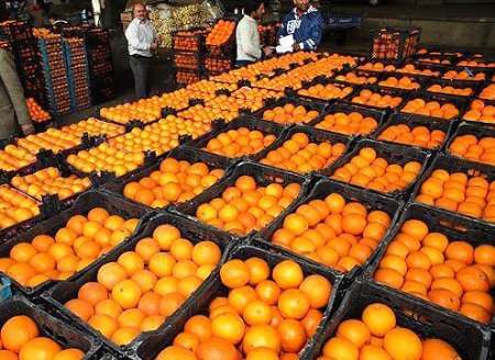 توزیع 3 هزار تن میوه و مرغ منجمد برای تنظیم قیمت بازار آذربایجان غربی