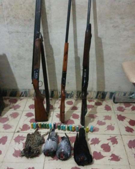 دستگیری سه شکارچی غیرمجاز در  بیله سوار