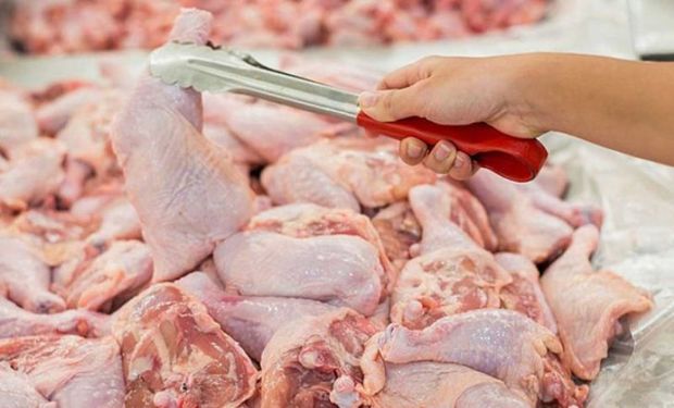 روزانه 200 تن گوشت مرغ مازاد مصرف در مازندران ذخیره می شود