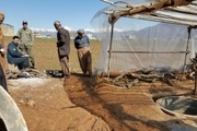 انسداد 290 حلقه چاه غیرمجاز در سال جاری در کردستان