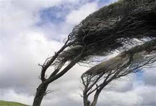 سرعت وزش باد در لاهیجان به 75 کیلومتر بر ساعت رسید