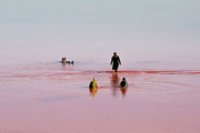 بررسی آخرین وضعیت دریاچه ارومیه