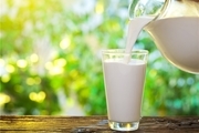 شیر، بهترین منبع برای کسب کلسیم و فسفر است