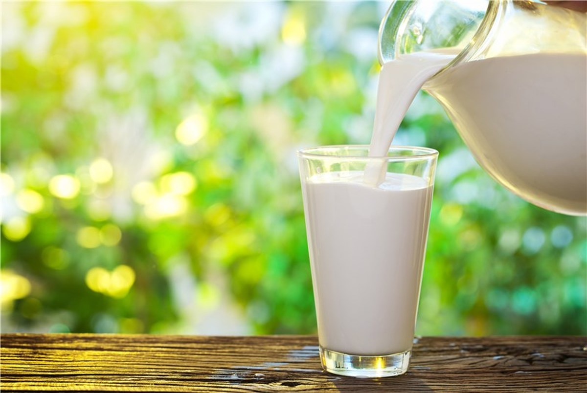 شیر، بهترین منبع برای کسب کلسیم و فسفر است