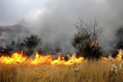 مهار آتش سوزی اراضی شهرآباد در کمتر از یک ساعت