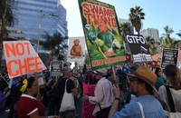 تظاهرات سراسری در آمریکا
