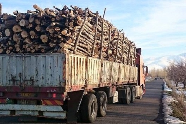محموله 25 تنی چوب قاچاق در مهاباد توقیف شد