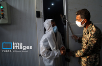 شناسایی شهدای دبستان میناب (44)