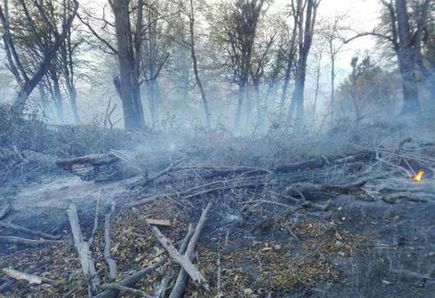 آتش در جنگل نیلکوه گالیکش خاموش شد