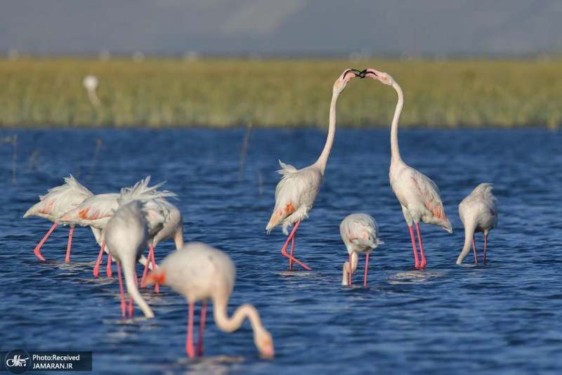 منتخب تصاویر امروز جهان- 24 شهریور