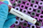شناسایی دو گونه جدید کروناویروس در انگلیس