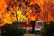 استرالیا در آتش+تصاویر