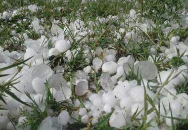 بی توجهی به تهک و خسارات کشاورزی در خراسان رضوی