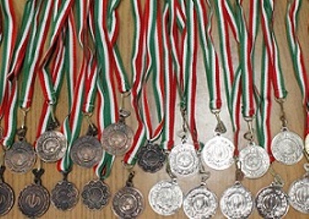 کسب 293 مدال رنگارنگ از مسابقات ملی و بین المللی توسط بانوان ورزشکار استان ایلام